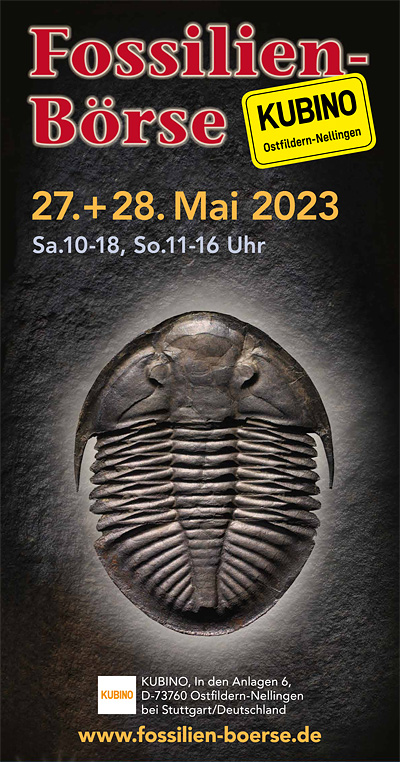 Flyer Fossilienboerse