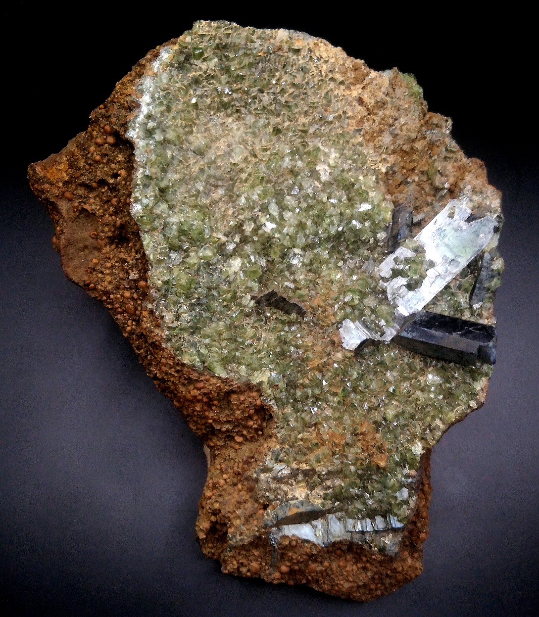 VIV003A
