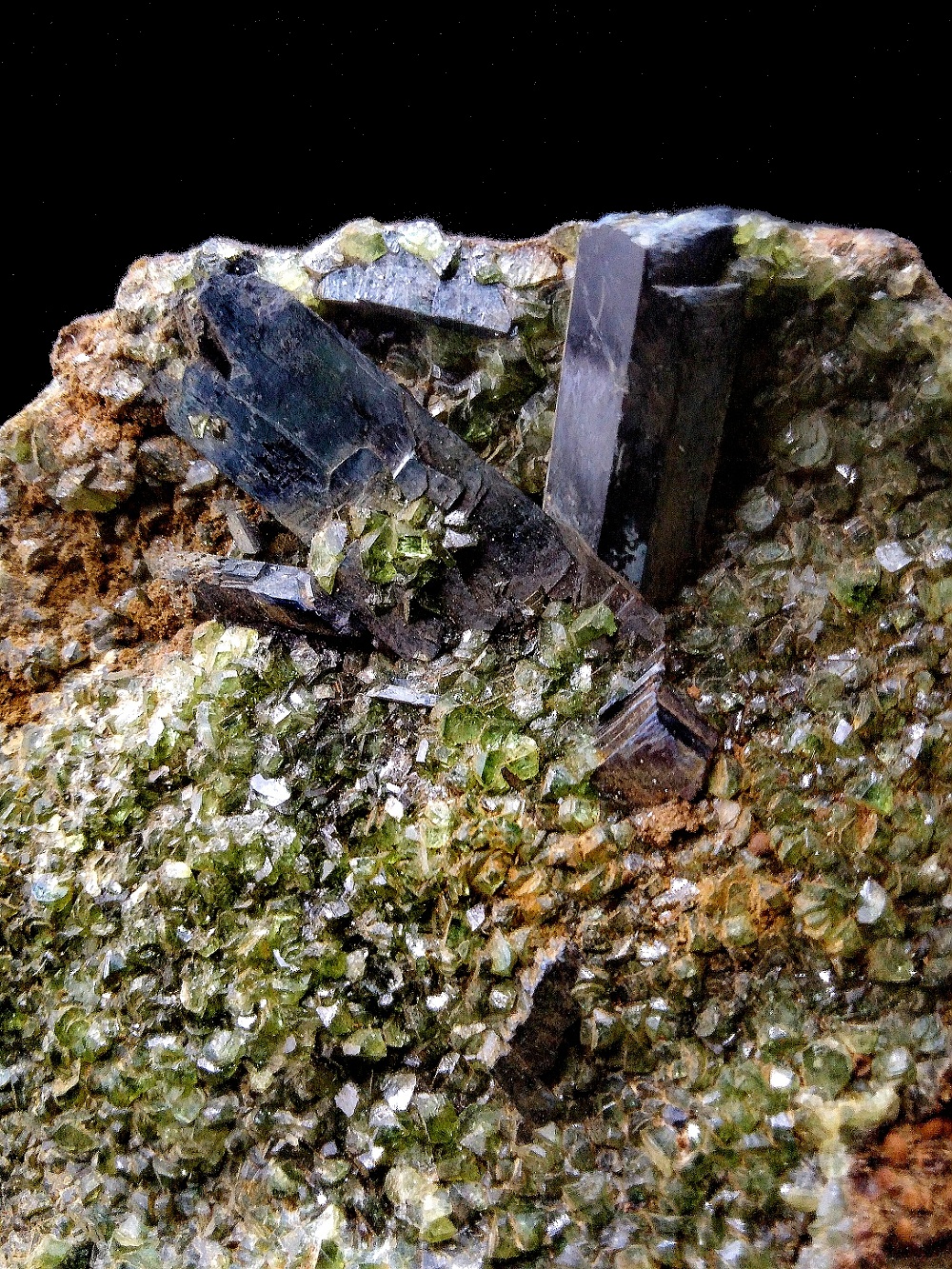 VIV003B