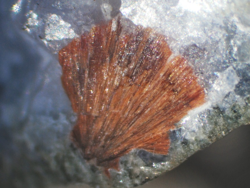 ferrierite svojanov 002