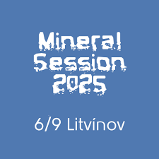 litvinov_2025