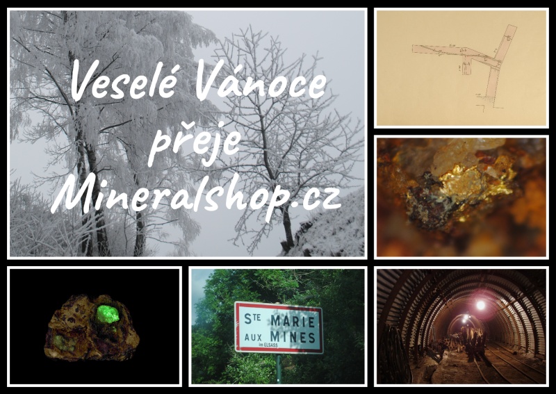 vv 2017